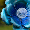 Blue Poppy with Solar Light (FLOWER006)